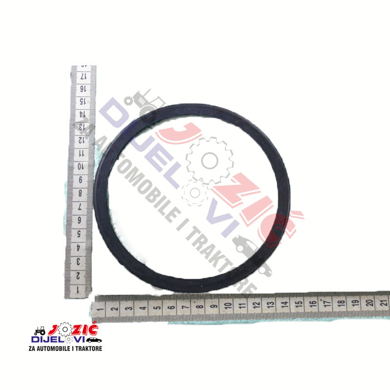 Daisy on the Ohoopee